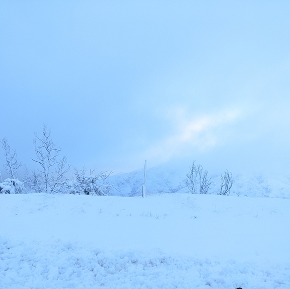 Meet your posh ambassador Liseth - Picture 12 of 12